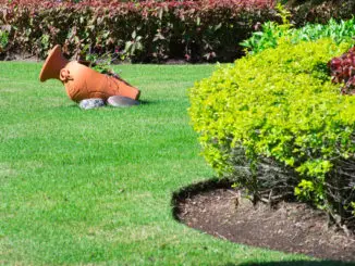 Foto eines gepflegten Gartens